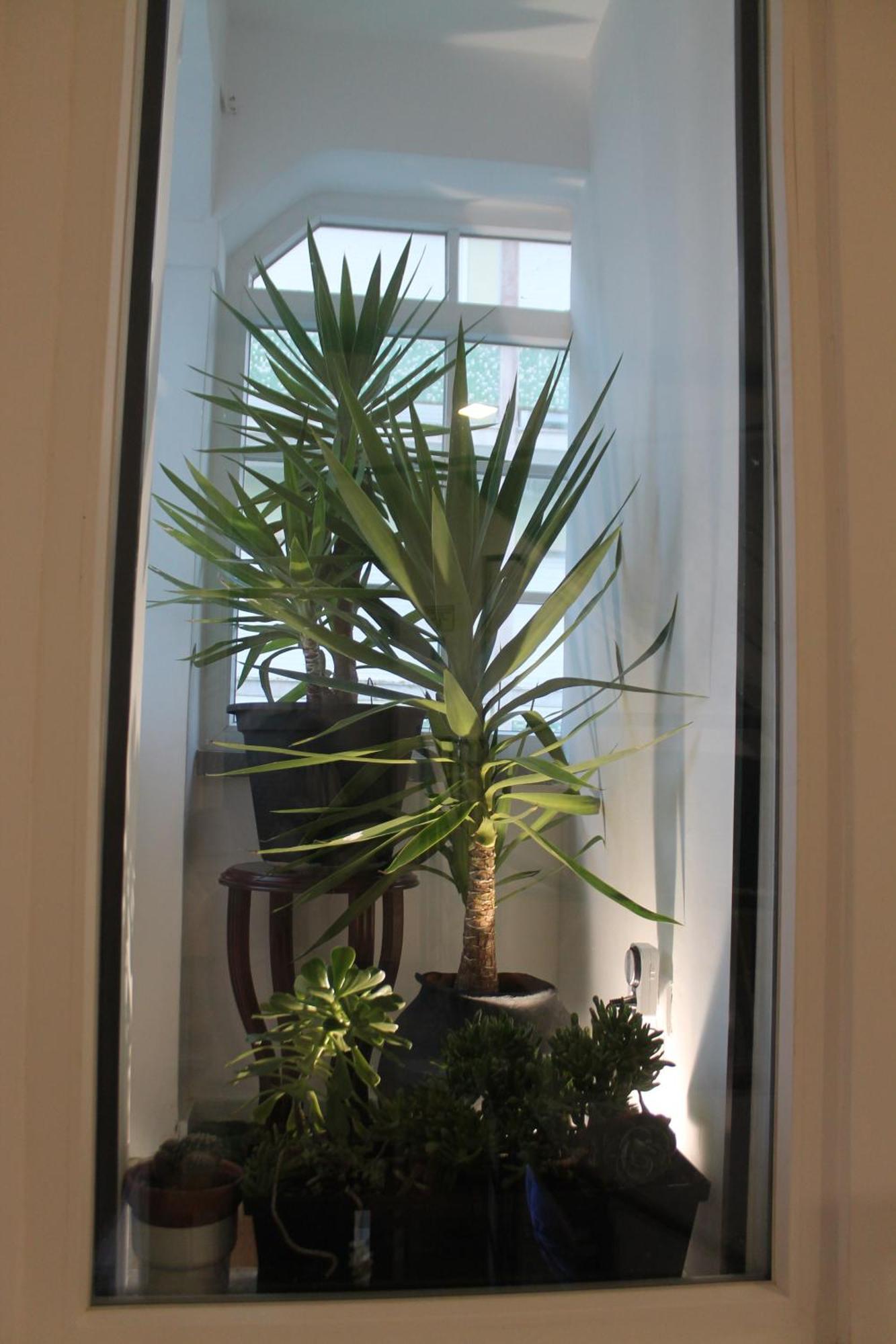 קוסטה דה קפאריקה Real Guest House מראה חיצוני תמונה